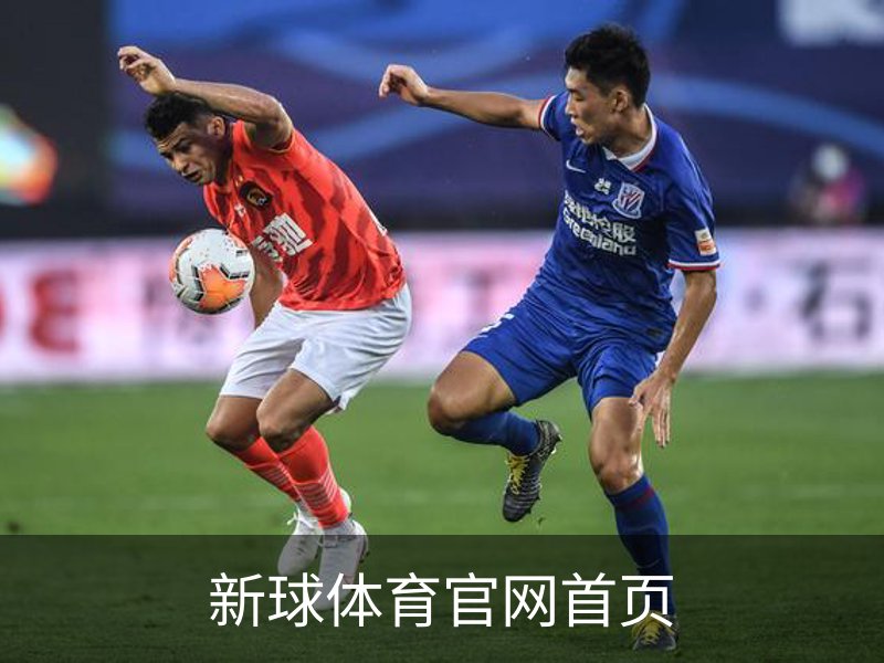 新球体育官网首页简介